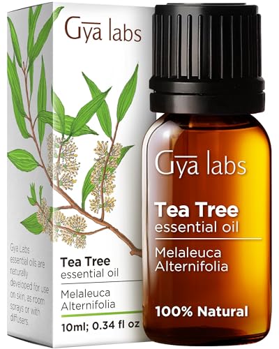 Gya Labs Huile d'arbre à thé australienne pour la peau, les cheveux, le visage et les ongles – Huile essentielle de Melaleuca 100 % naturelle pour les piercings, le cuir chevelu et les cheveux (0.34 fl oz)