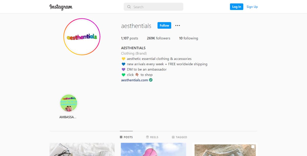 AESTHENTIALS instagram